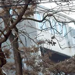 Apartmán Rompromo *